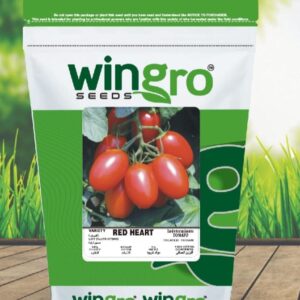 TOMATO RED HEART F1