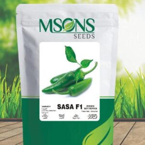HOT PEPPER SASA F1 (Desi type)