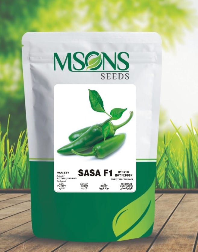 HOT PEPPER SASA F1 (Desi type)