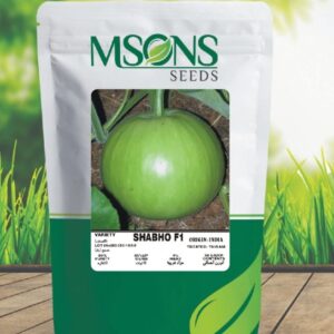 BOTTLE GOURD SHABO F1