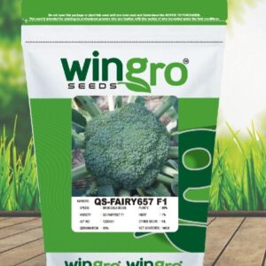 BROCCOLI QS-FAIRY 657 F1