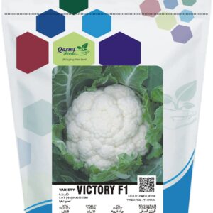 CAULIFLOWER VICTORY F1