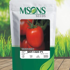 TOMATO QST-1320 F1
