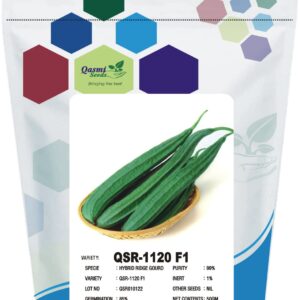 RIDGE GOURD QSR-1120 F1