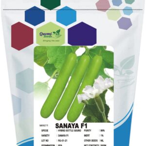 BOTTLE GOURD SANAYA F1 (long)