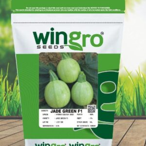 SQUASH JADE GREEN F1 (RoundSquash)