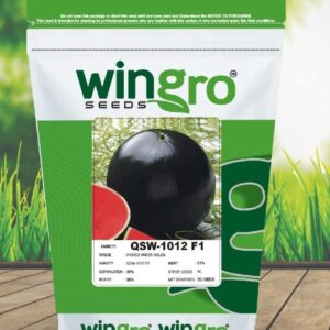 WATERMELON QSW-1012 F1 (Black Round Shape)
