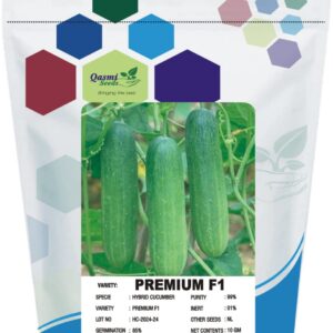 CUCUMBER PREMIUM F1 (DESI TYPE)