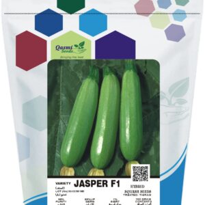 SQUASH JASPER F1 (Long Squash)