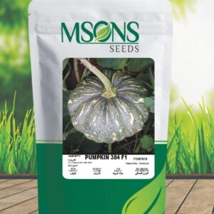 PUMPKIN-384 F1