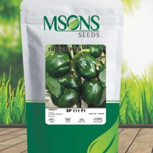 Sweet pepper SP111 F1