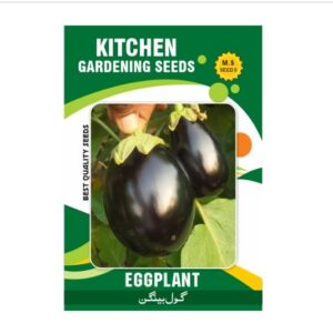 EggPlant