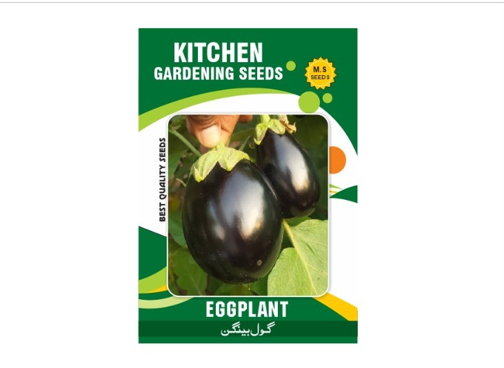 EggPlant