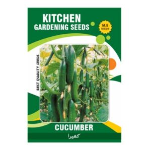 Cucumber