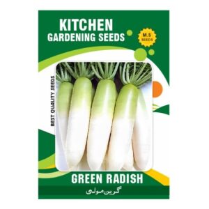 Green Radish