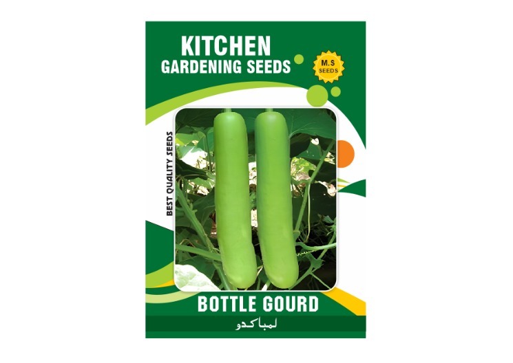Bottle Gourd