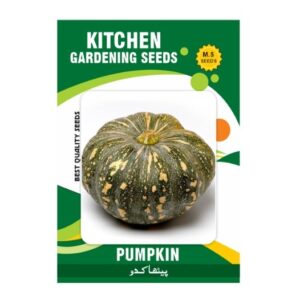 Pumpkin
