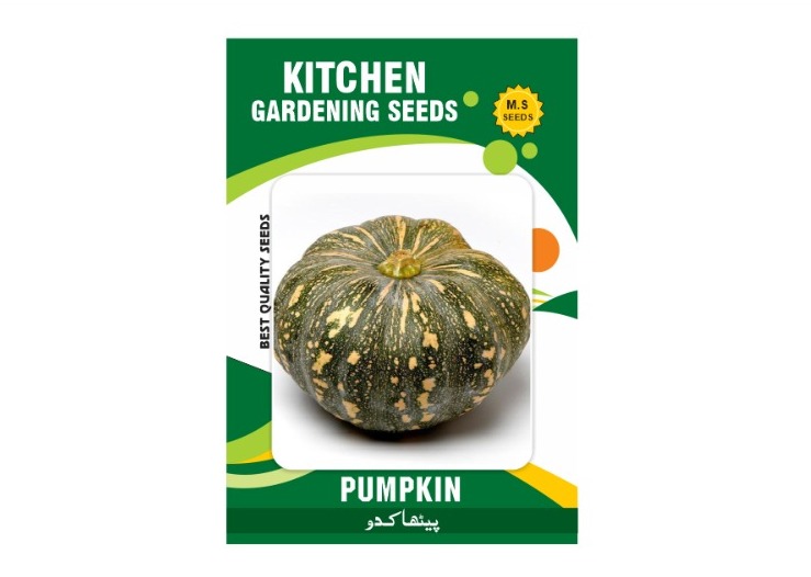 Pumpkin