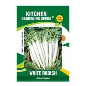 White Radish