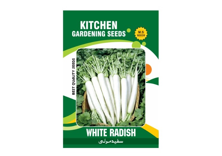 White Radish