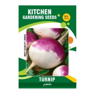 Turnip