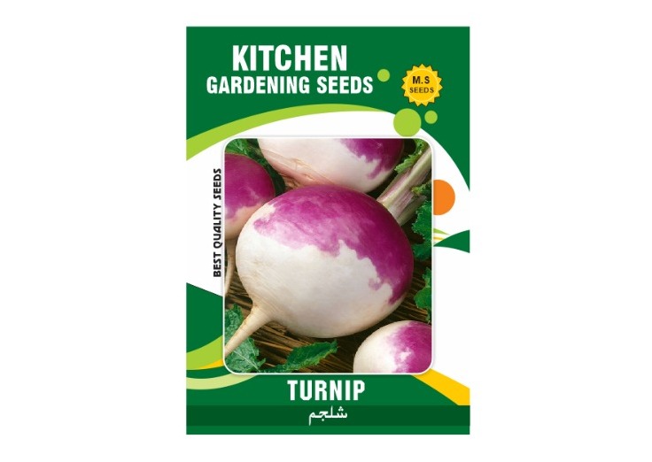 Turnip