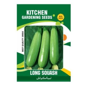 Long Squash