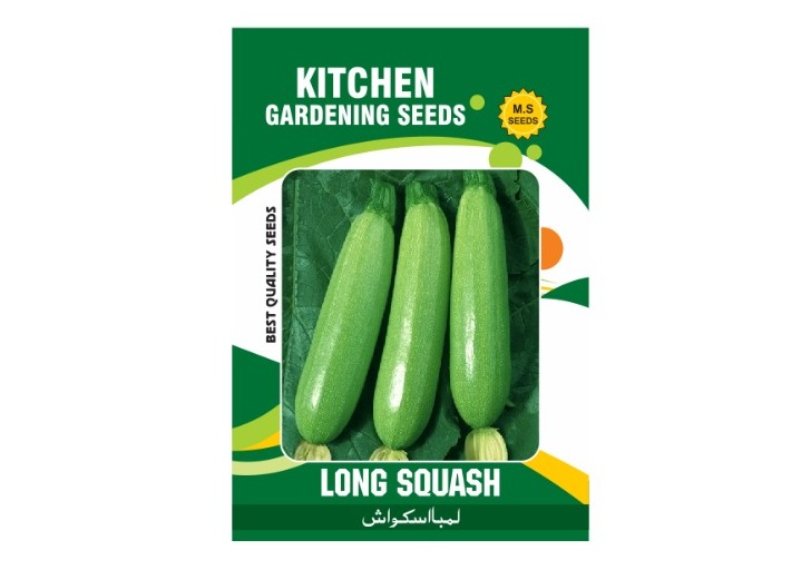 Long Squash