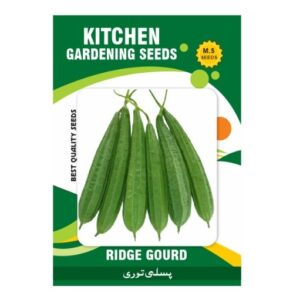 Ridge Gourd