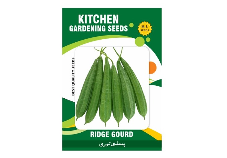Ridge Gourd