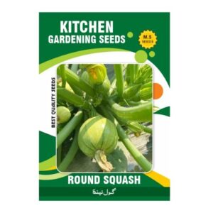 Round Squash