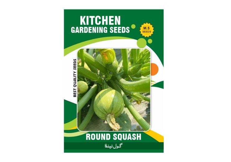 Round Squash
