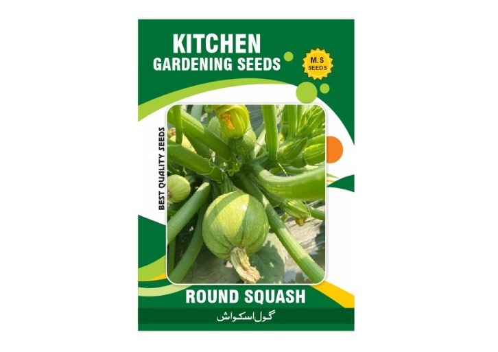 Round Squash