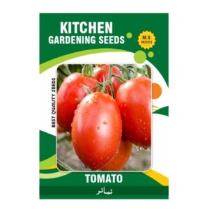 Tomato