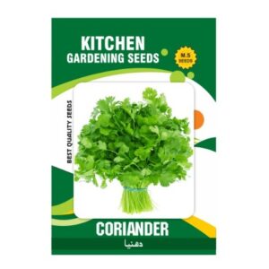 Coriander