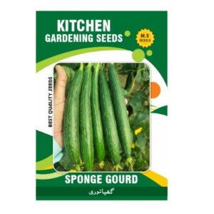 Sponge Gourd