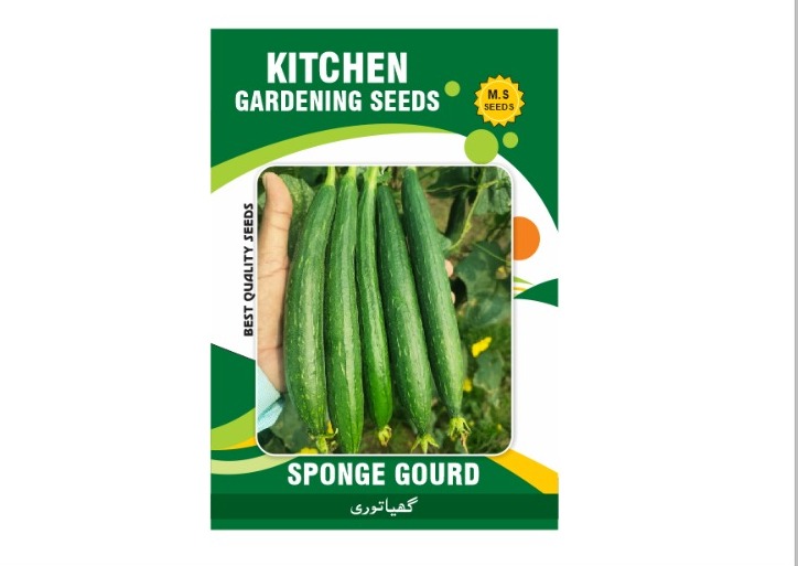Sponge Gourd