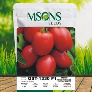 TOMATO QST-1330 F1