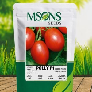 TOMATO POLLY F1