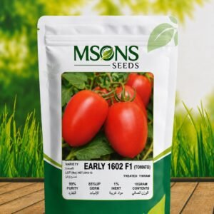TOMATO EARLY -1602 F1