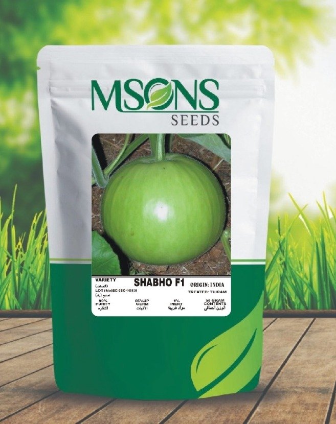 Bottle Gourd - SHABHO F1