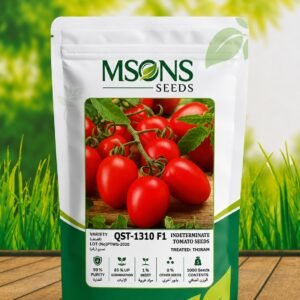 TOMATO QST-1310 F1