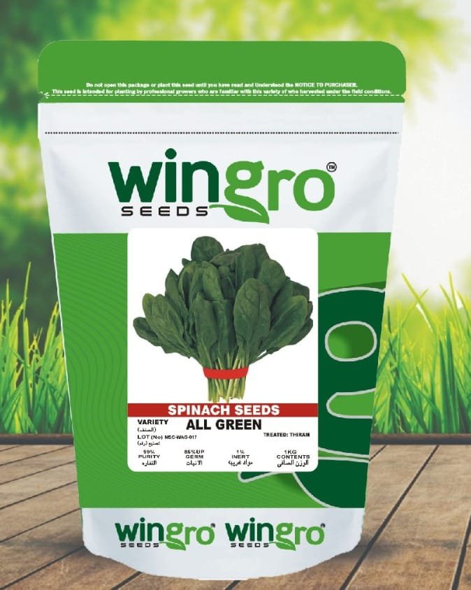 Palak - All Green