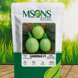 SQUASH - SANDRAS F1 (RoundSquash)