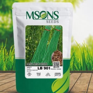 Long Bean- LB 901
