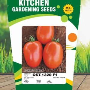 Tomato- QST - 1320 F1