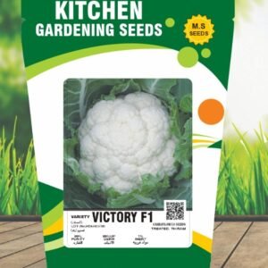 Cauliflower- Victory F1