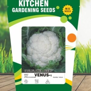 Cauliflower-Venus -1