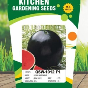 Watermelon-QSW-1012 F1