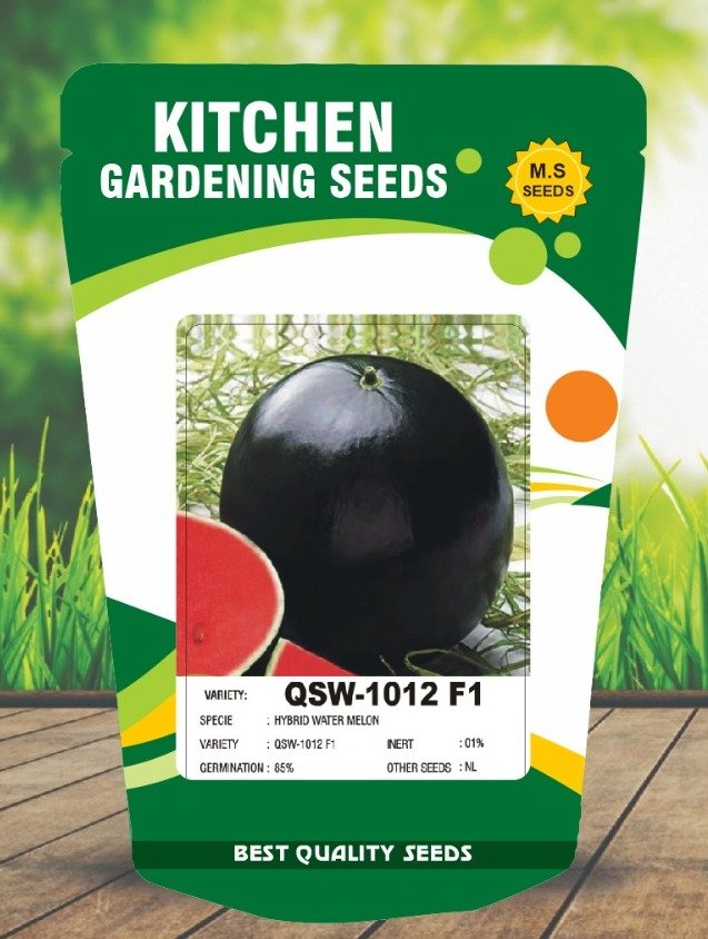 Watermelon-QSW-1012 F1